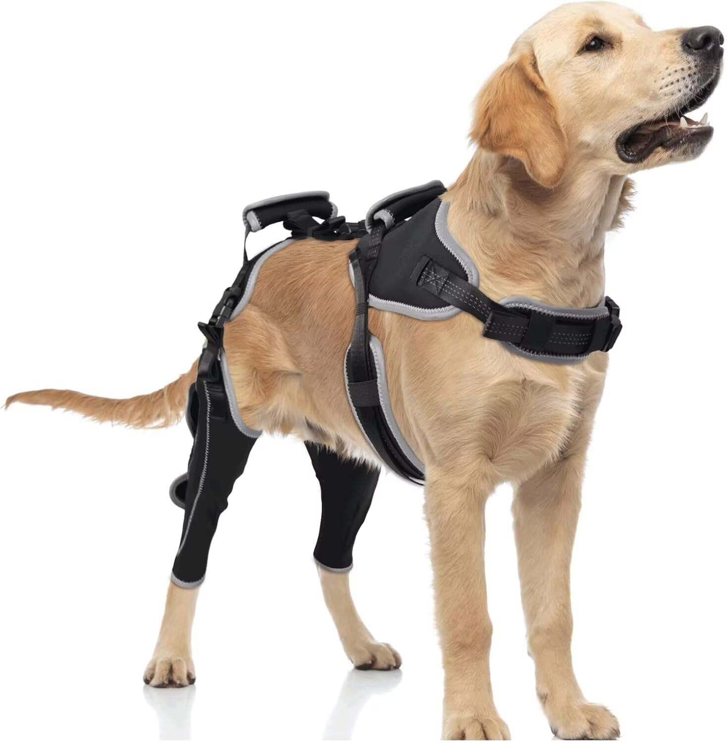 TIPOOP protector de rodilla para perro con diseño integrado pecho y dorso.