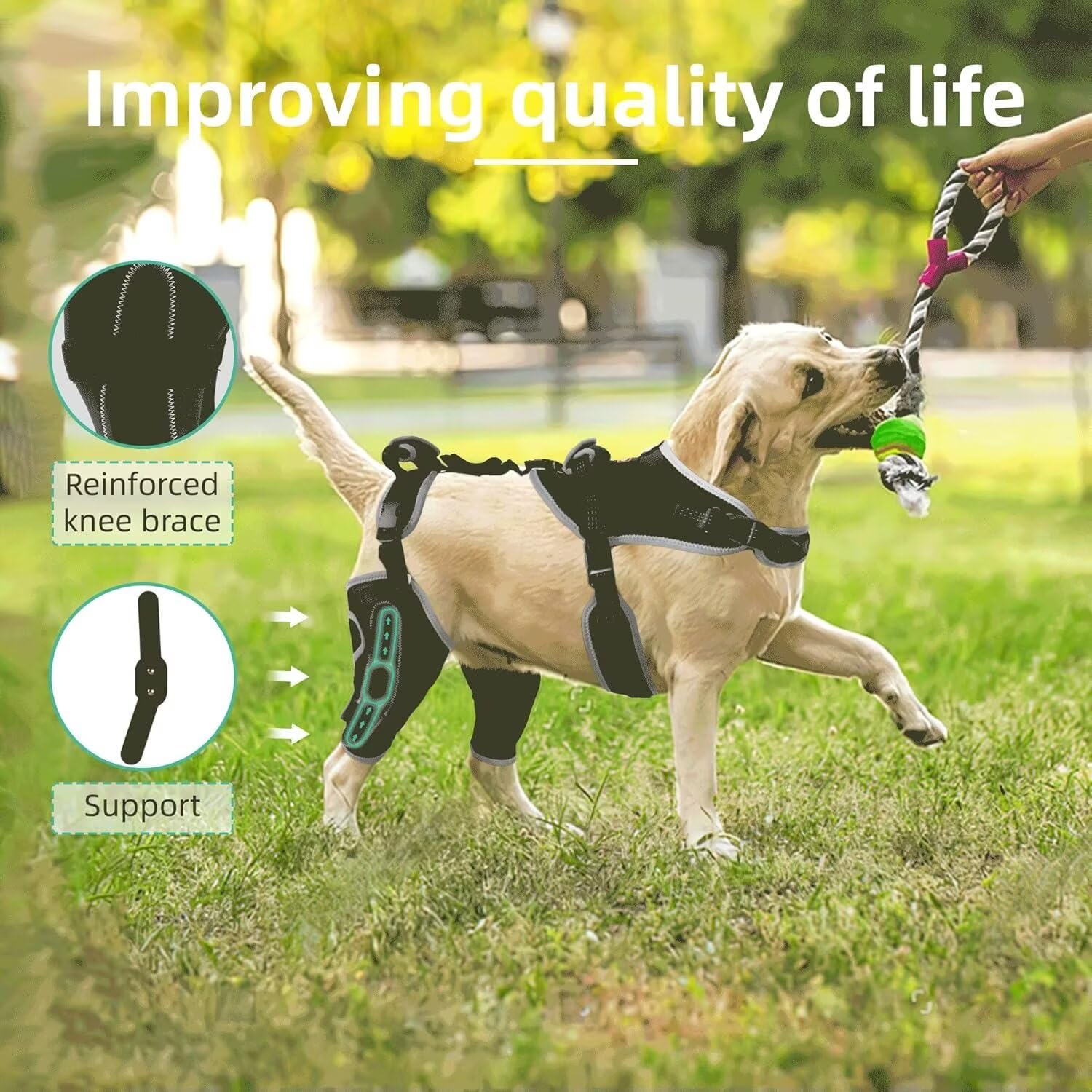 TIPOOP protector de rodilla para perro con sistema de tres puntos de compresión.