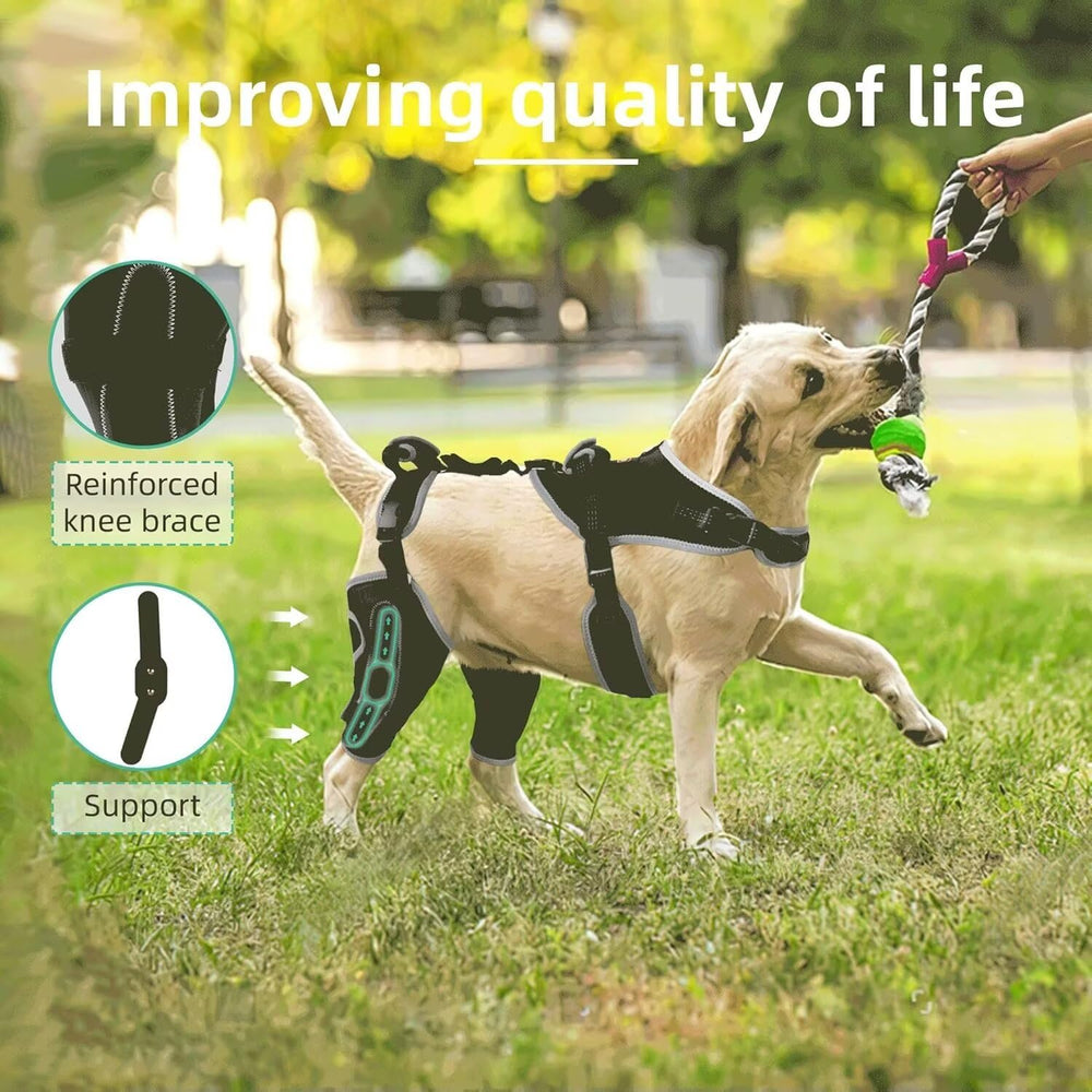 TIPOOP protector de rodilla para perro con sistema de tres puntos de compresión.