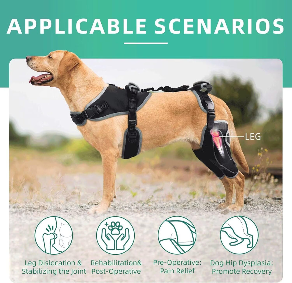 TIPOOP protector de rodilla para perro tejido SBR y malla transpirable.