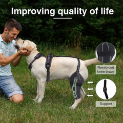 TipoOP rodillera para perro derecha, soporte estable para ACL y CCL
