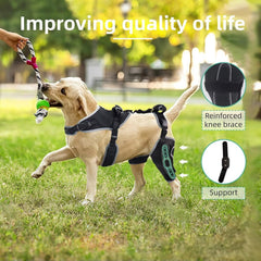 TIPOOP rodillera para perro con velcro, ajuste fácil