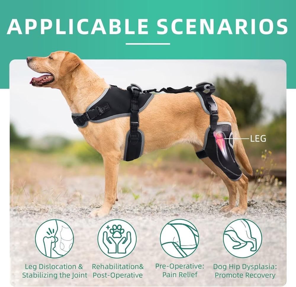 TIPOOP soporte de rodilla canina de tres puntos para mejor alineación