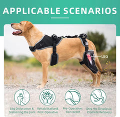 TIPOOP soporte de rodilla canina de tres puntos para mejor alineación