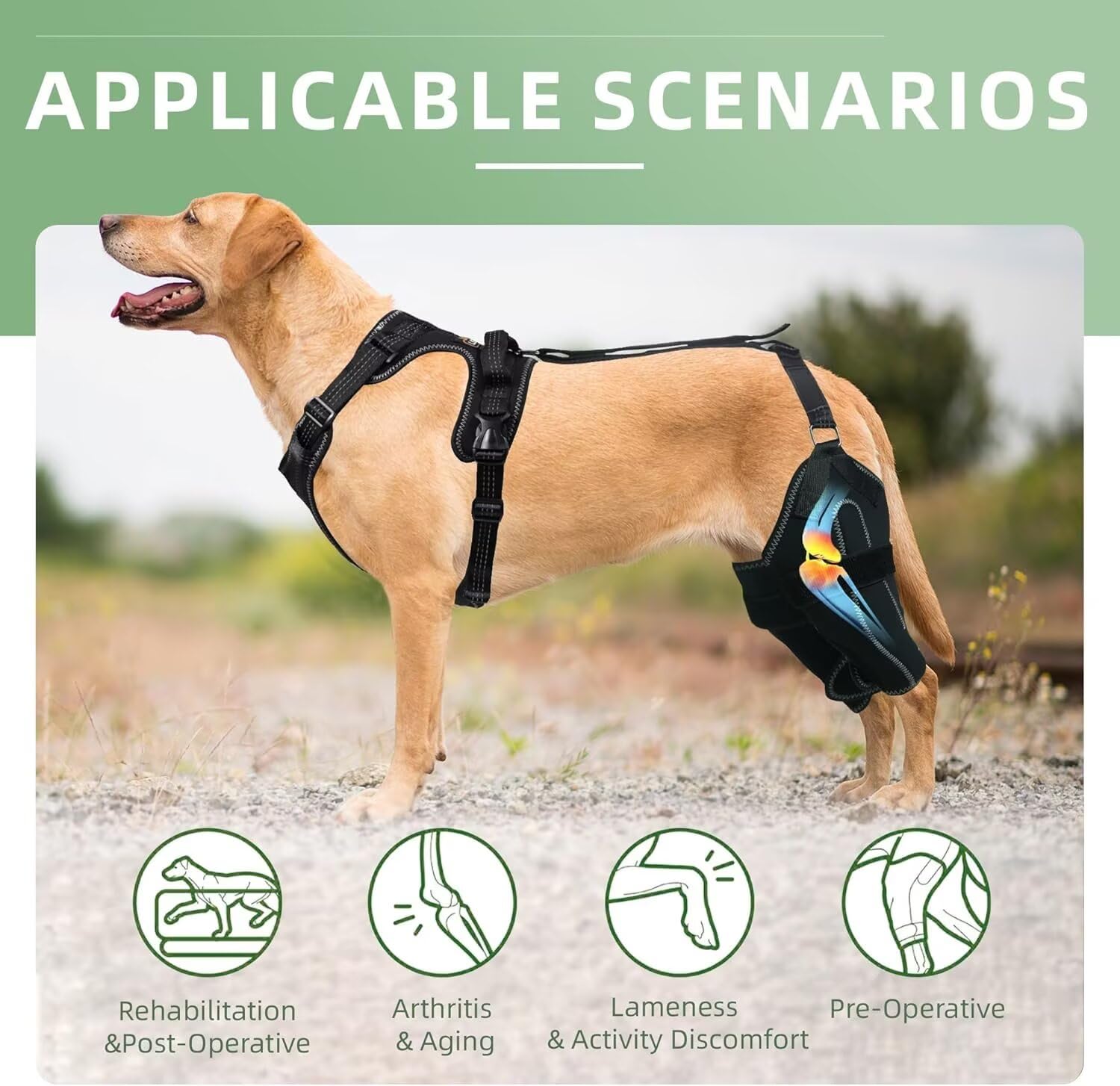 TIPOOP tejido SBR para perro ligero y resistente.