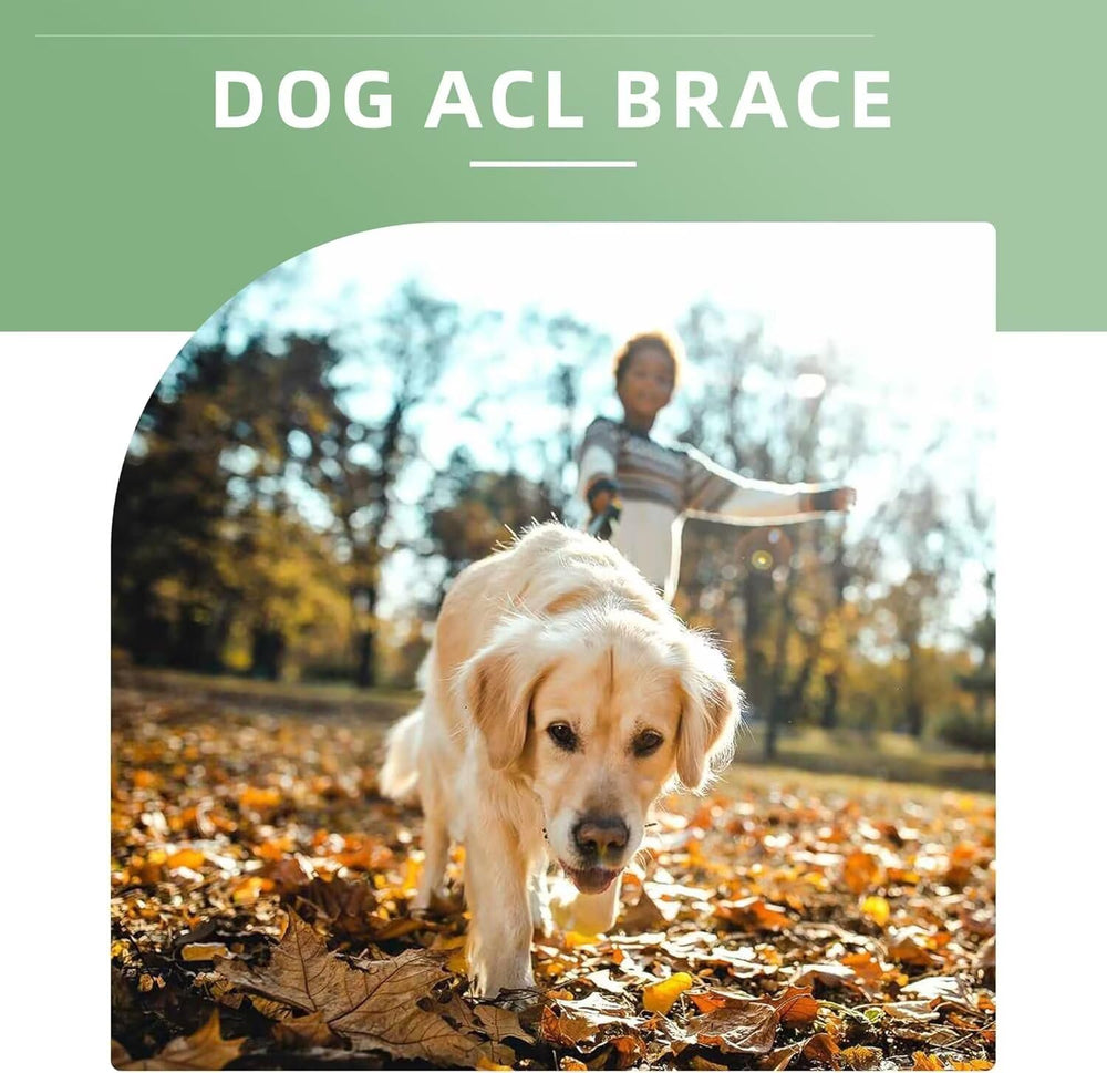 TIPOOP uso diario en exteriores con ejercicio activo para perros.