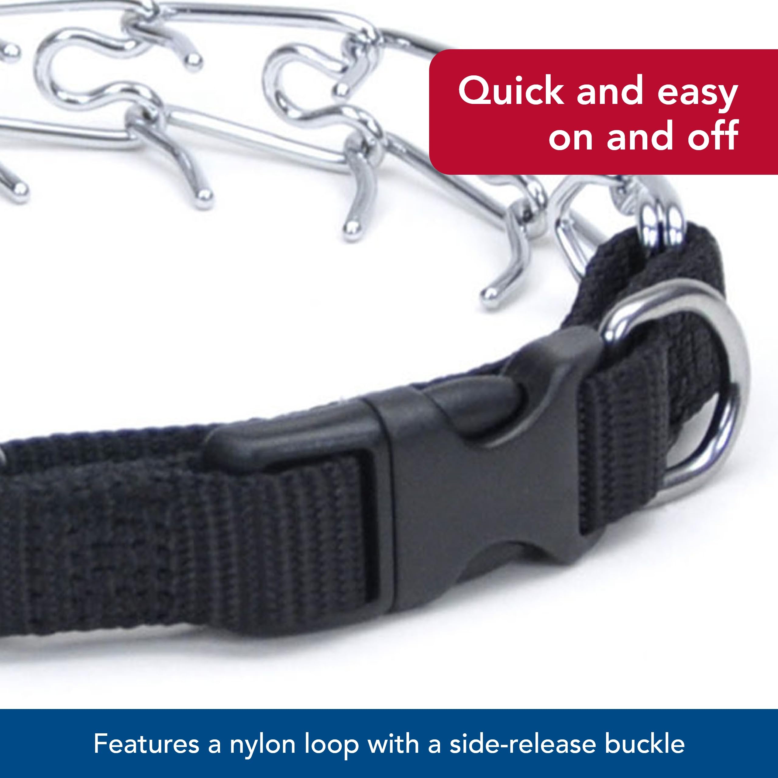 Titan collar de puas diseñado para entrenamiento diario y sesiones cortas.