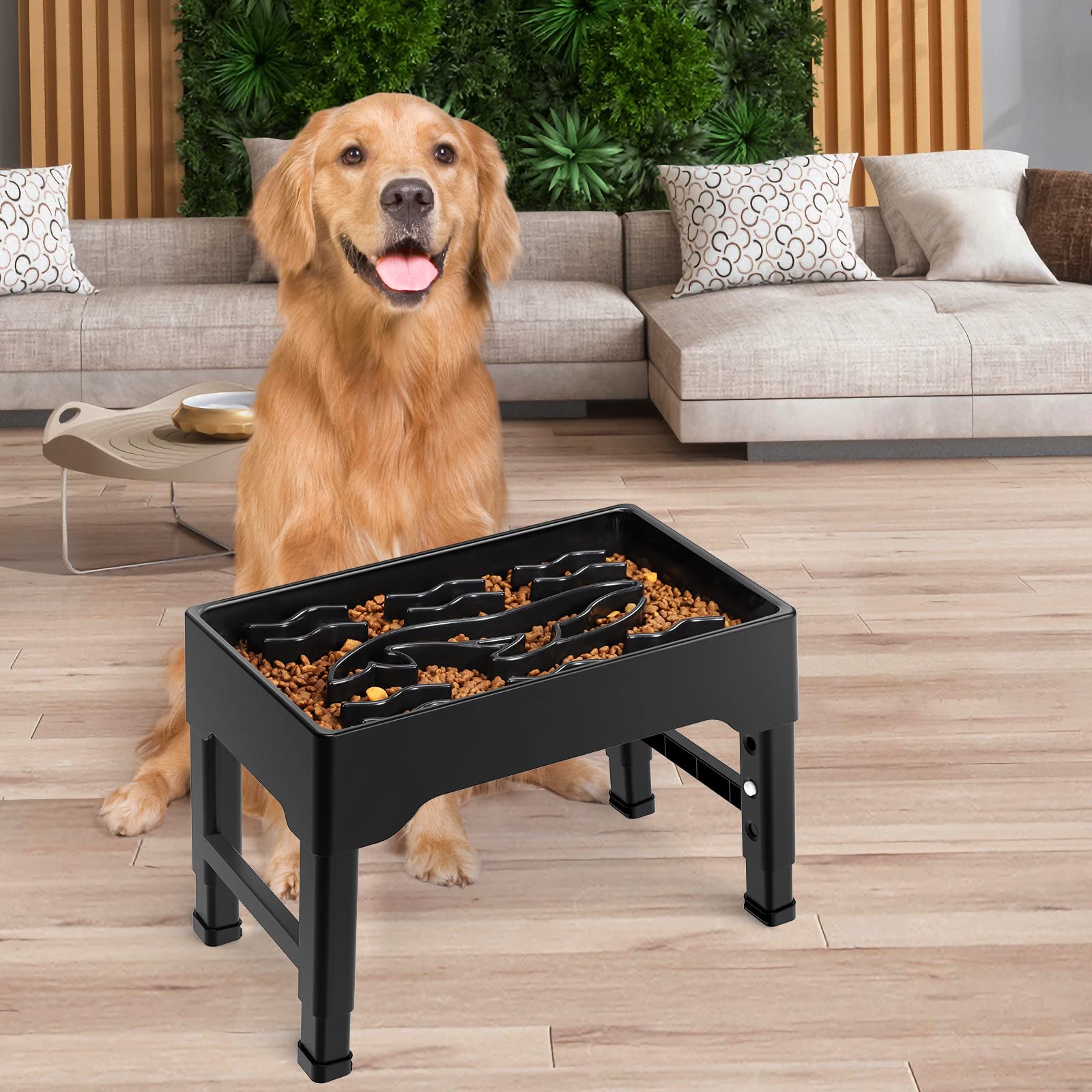 Tivray cuenco estable para perros activos y familias dinámicas.
