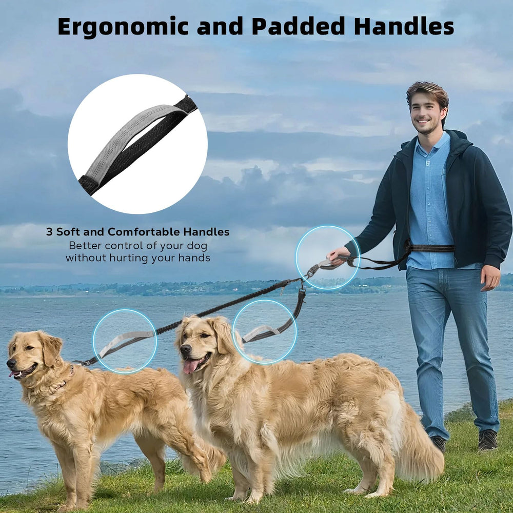 Tivray conector 360 grados evita enredos y permite libertad para tus perros