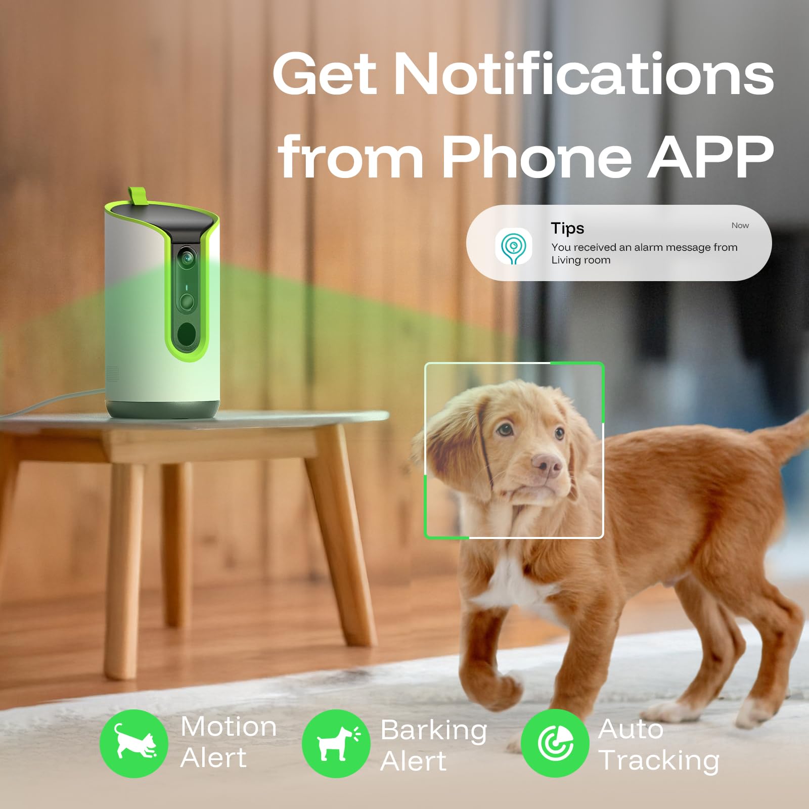 Seguimiento 360 para seguir a tu mascota en cualquier momento.