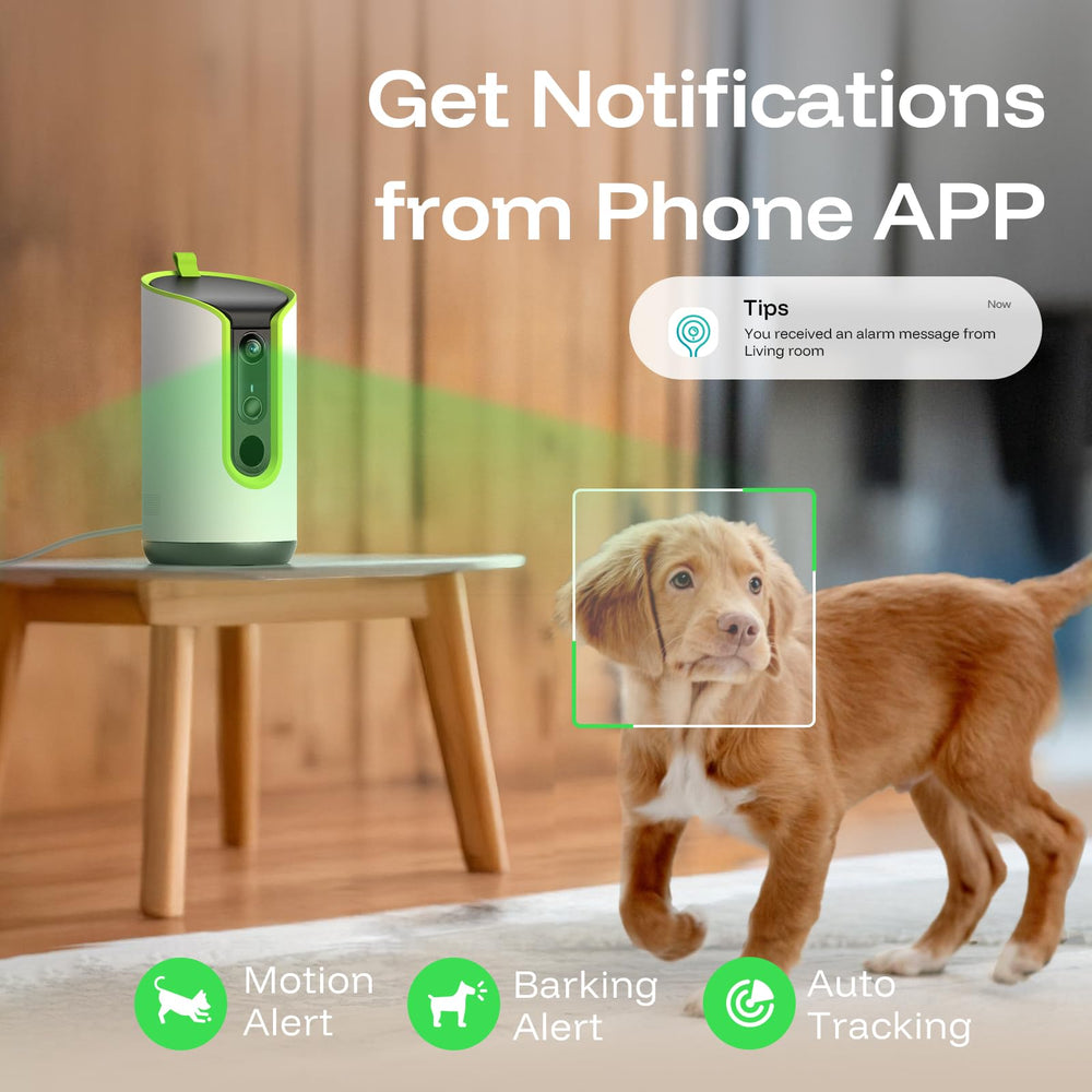 Seguimiento 360 para seguir a tu mascota en cualquier momento.