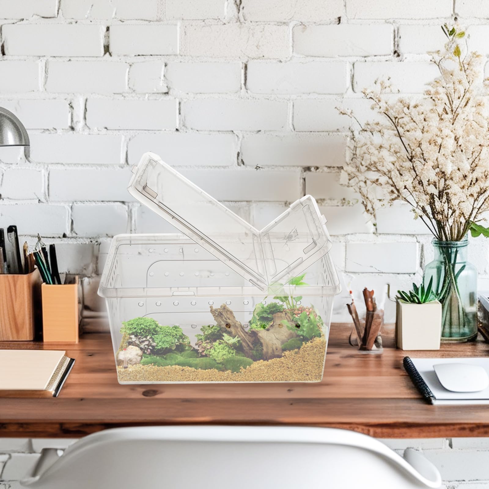 Tlence caja-reptiles-portatil ideal para transportar con facilidad