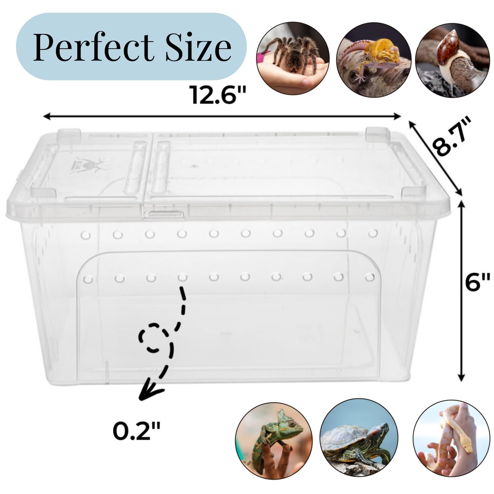 Tlence caja-reptiles-tapa-ventilada favorece alimentación sin escapes