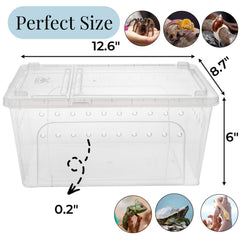Tlence caja-reptiles-tapa-ventilada favorece alimentación sin escapes