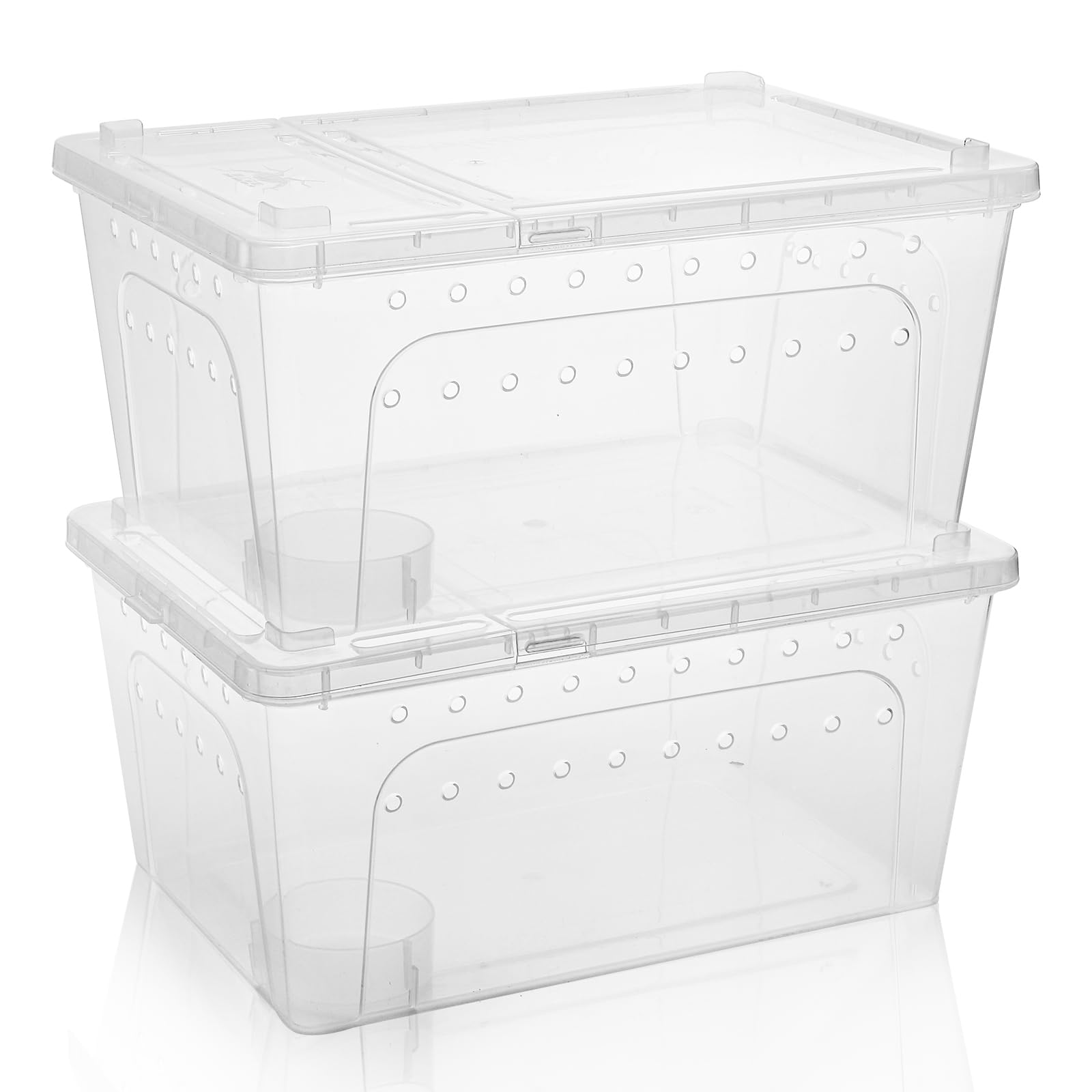 Tlence cajas-alimentacion-reptiles-compactas para transporte y guardado cómodo