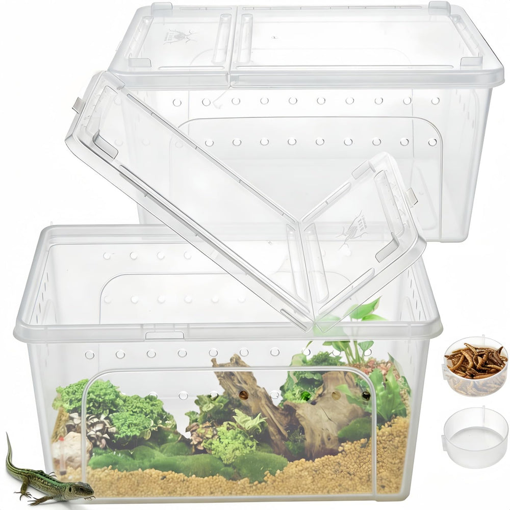 Tlence cajas-alimentacion-reptiles-transparente para observar conductas durante la comida