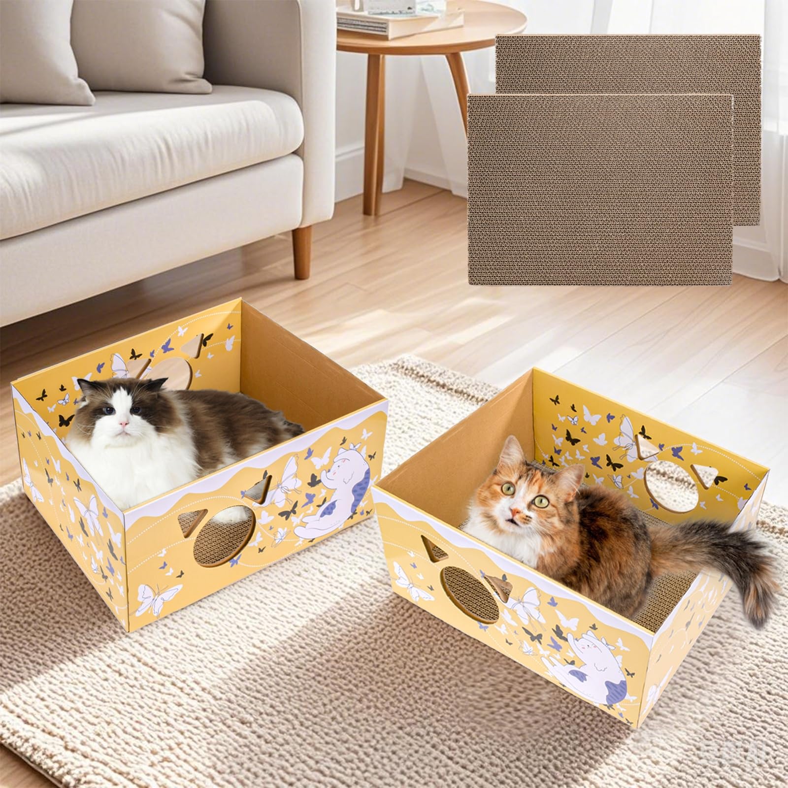 Tlence regalo ideal para gatos que viven en interiores