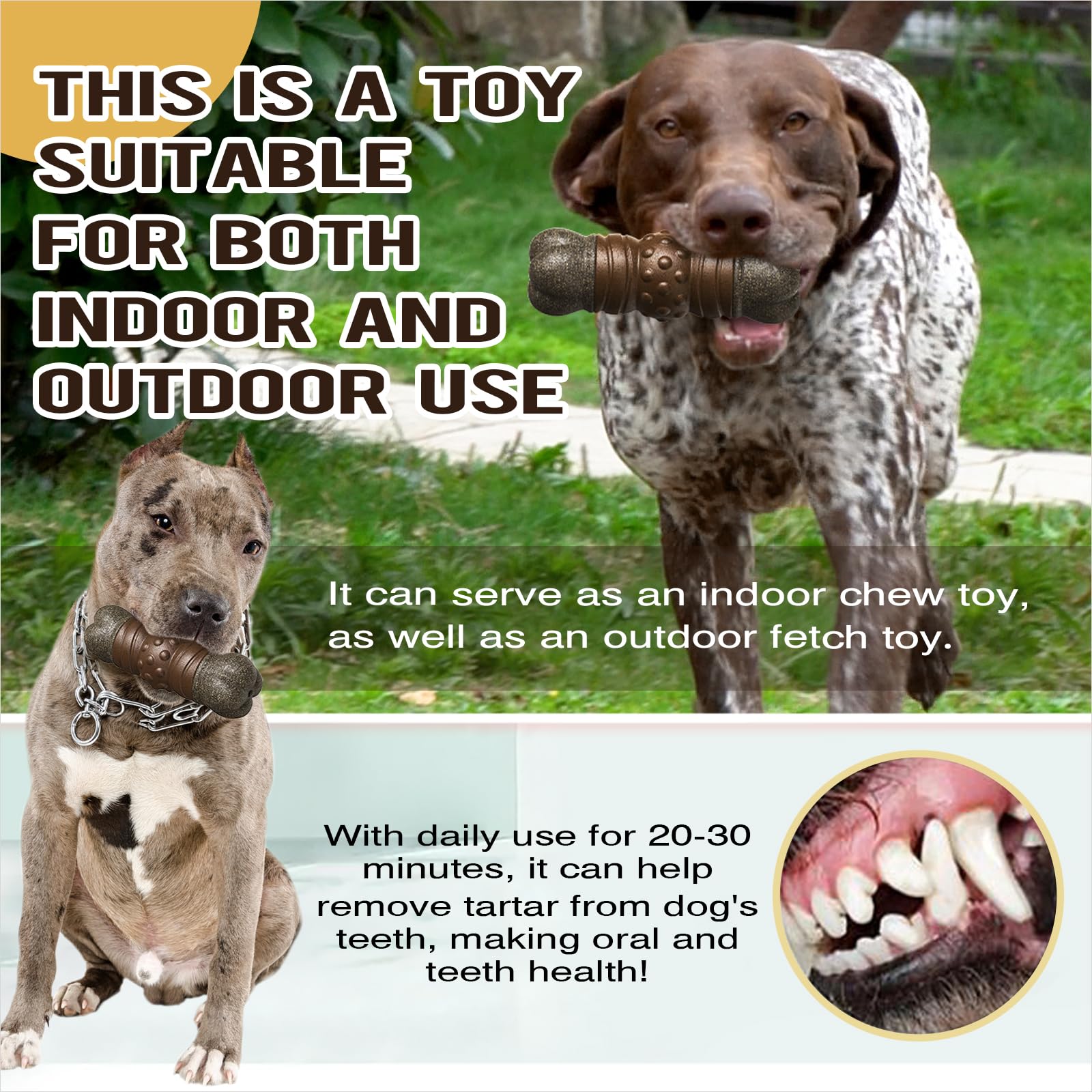 tlkng diversión diaria para perros, reduce el daño a muebles y ofrece juego seguro.