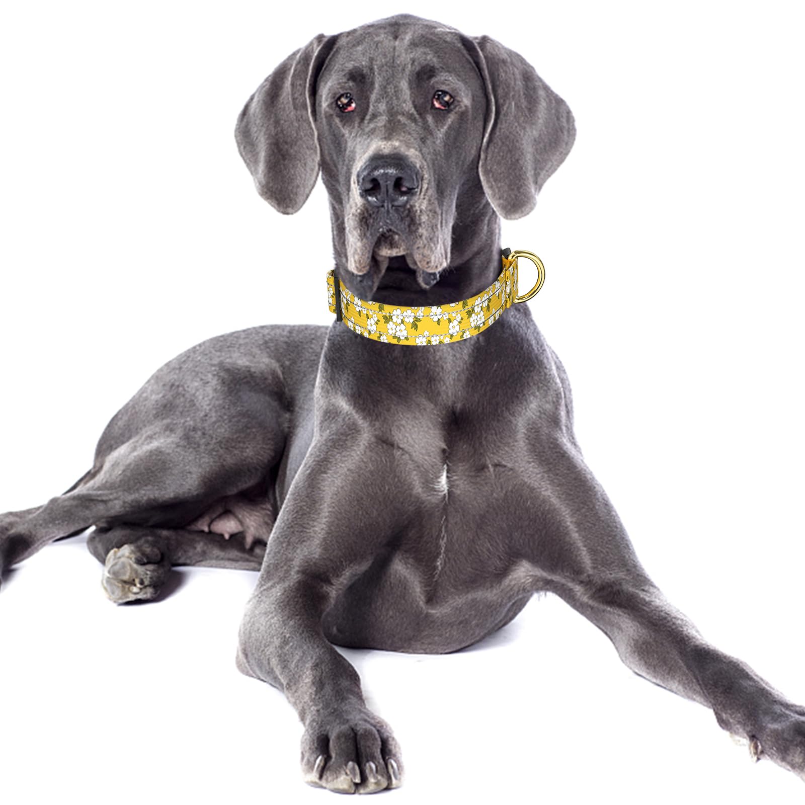 TMOODEL collar de nylon premium, resistente y ligero para uso diario.