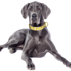 TMOODEL collar de nylon premium, resistente y ligero para uso diario.