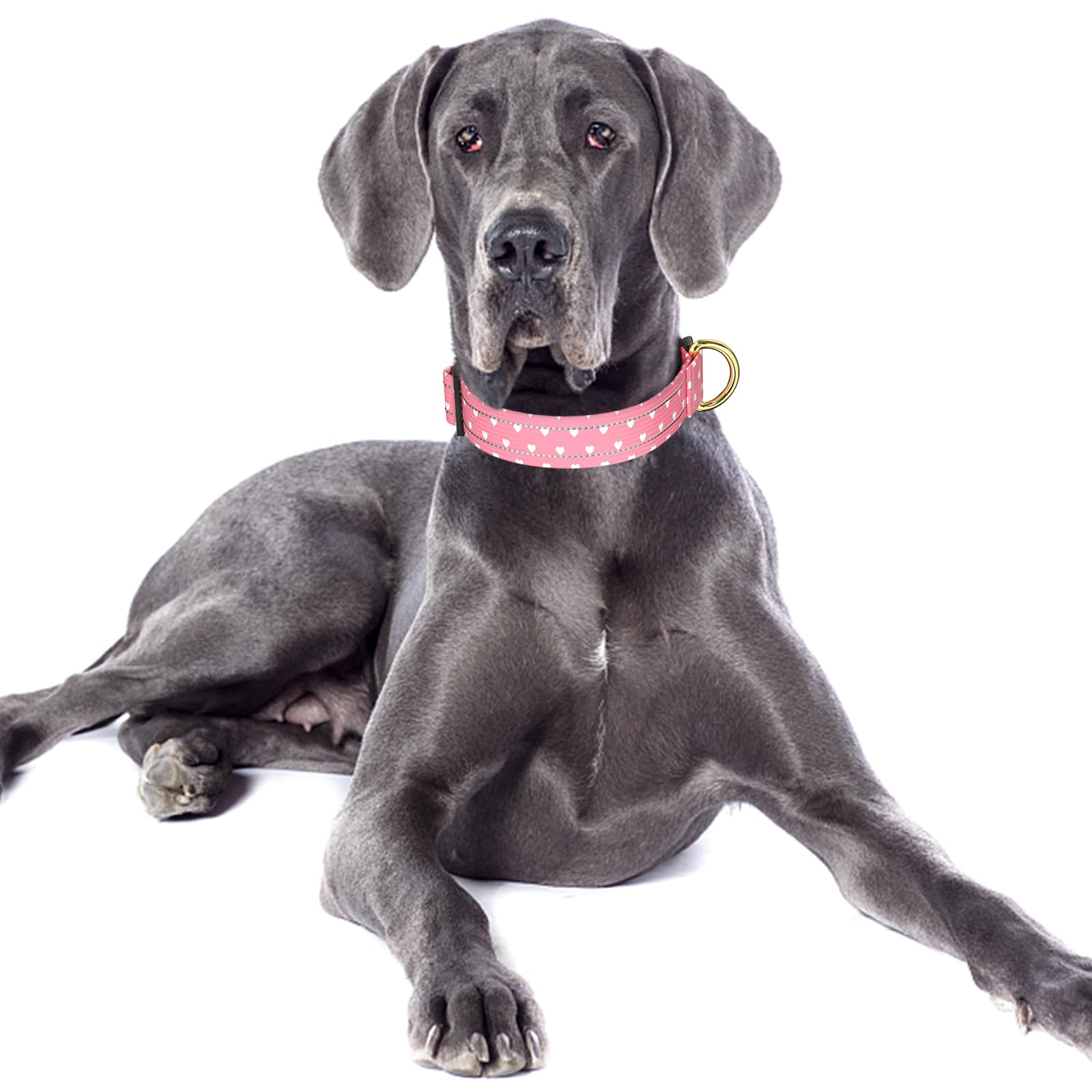 TMOODEL collar de nylon resistente, ligero y cómodo para paseos diarios.