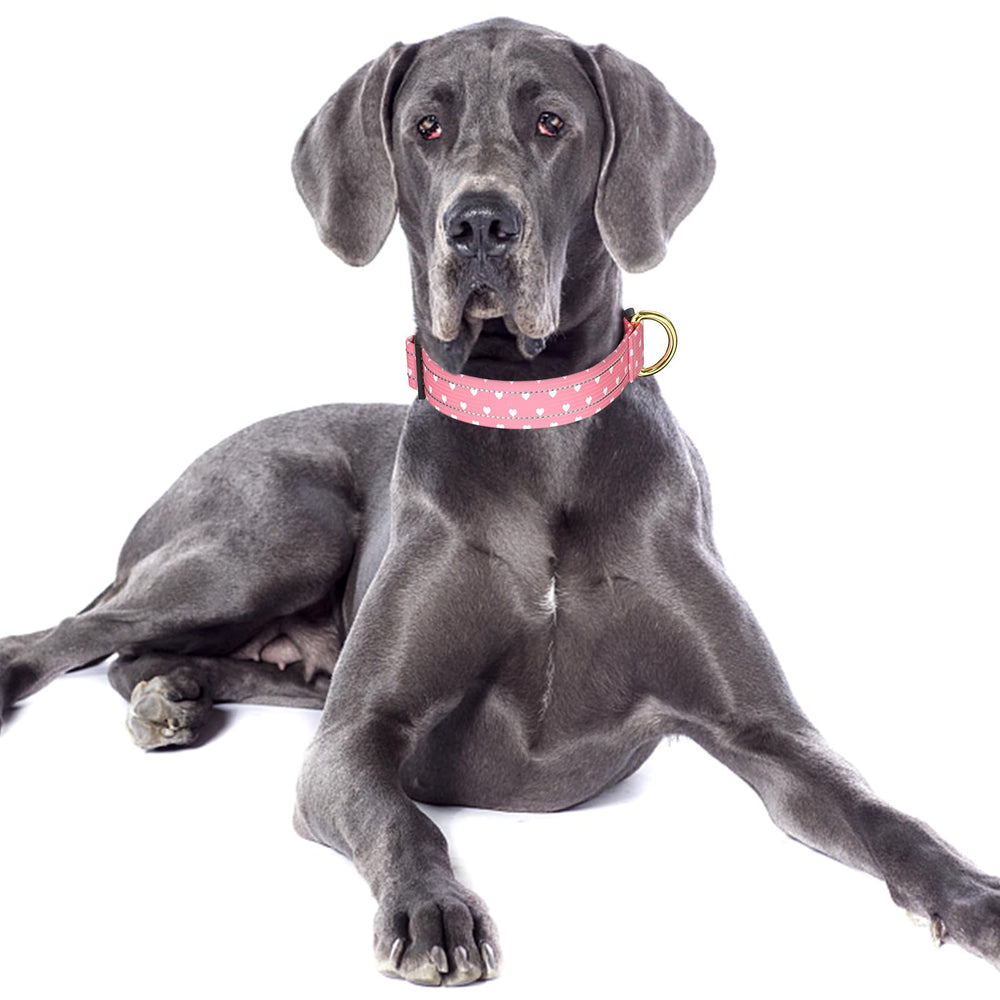 TMOODEL collar de nylon resistente, ligero y cómodo para paseos diarios.