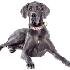 TMOODEL collar floral con estilo elegante para perros grandes.