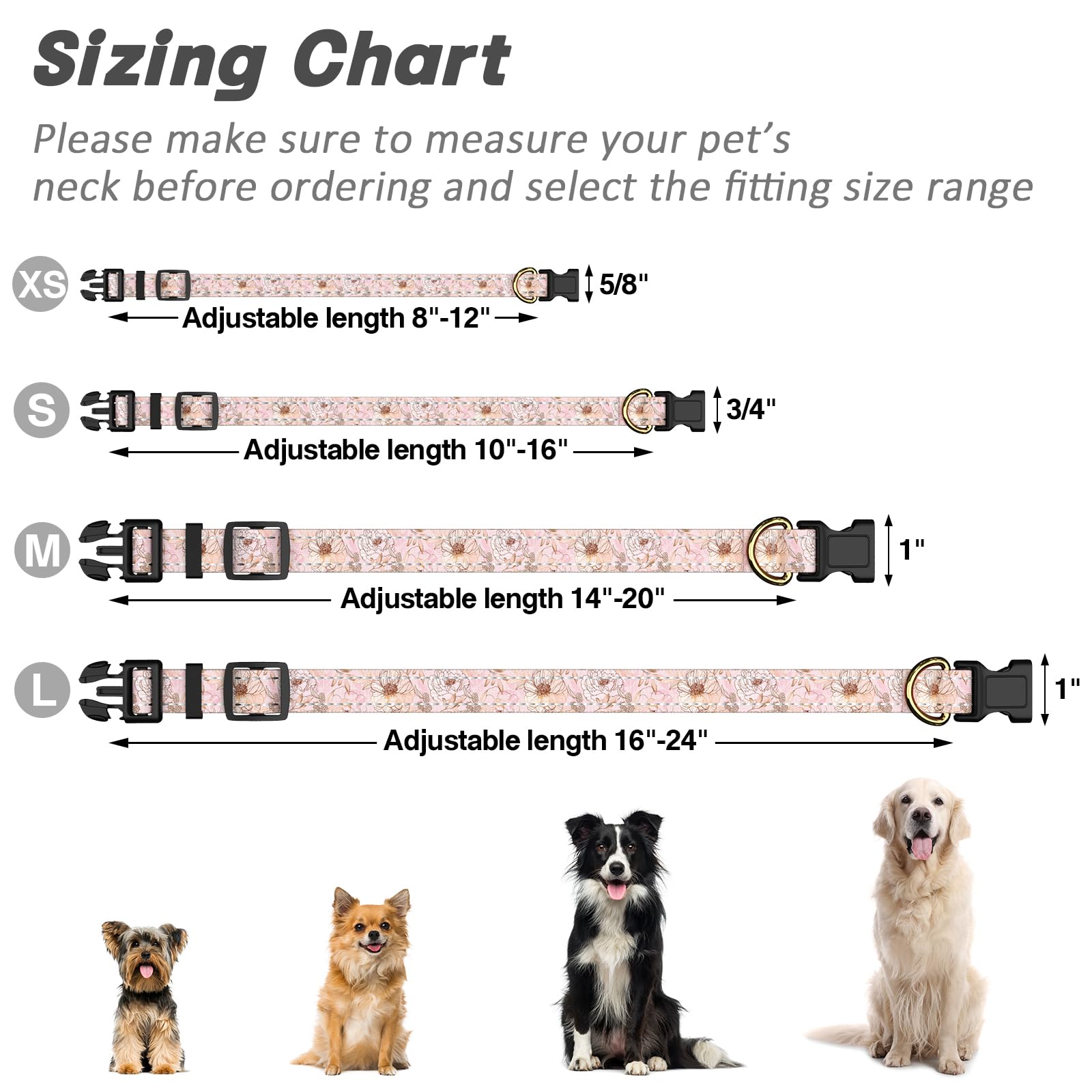 TMOODEL collar visibilidad nocturna, ideal para salidas al atardecer.
