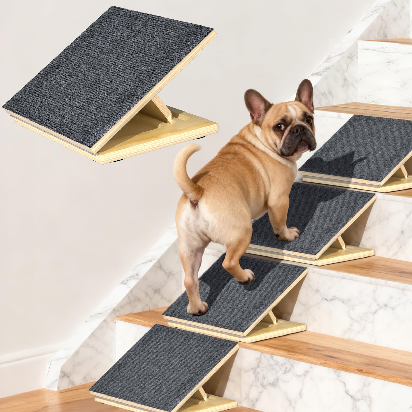 TNELTUEB escalera para perros: vista general para movilidad diaria.
