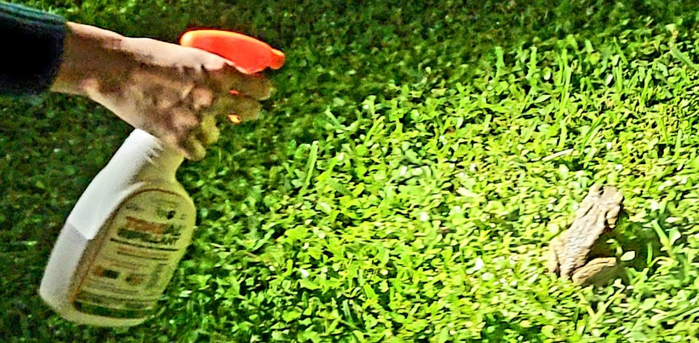 TOADAL protección para mascotas, ambiente seguro para paseos al aire libre.