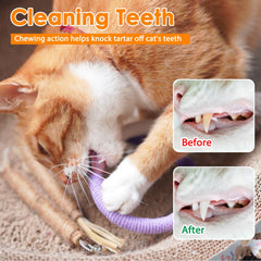 Tocirelo juguete cuerda para gatos, facilita juego interactivo y reduce frustración nocturna.