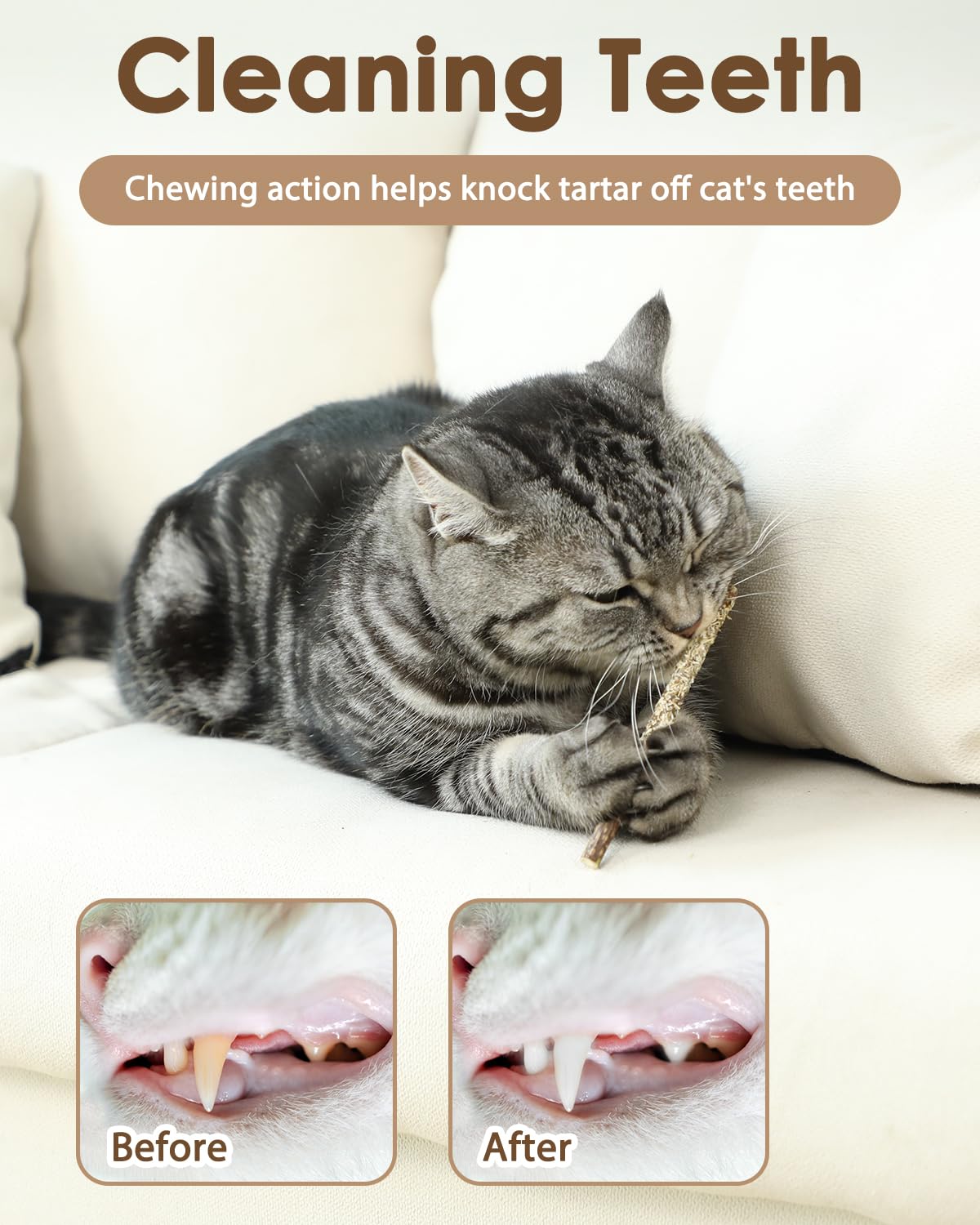 Tocirelo palitos silvervine para gatos, palitos pequeños para masticación suave