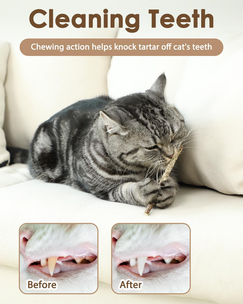 Tocirelo palitos silvervine para gatos, palitos pequeños para masticación suave