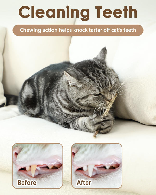 Tocirelo palitos silvervine para gatos, palitos pequeños para masticación suave
