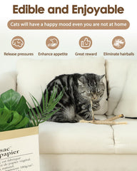 Tocirelo palitos silvervine para gatos, texturas variadas para juego