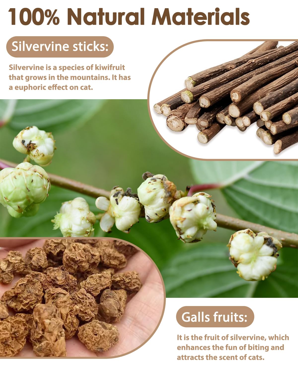 Tocirelo: palitos de silvervine con sisal para enriquecer la sensación de masticar.