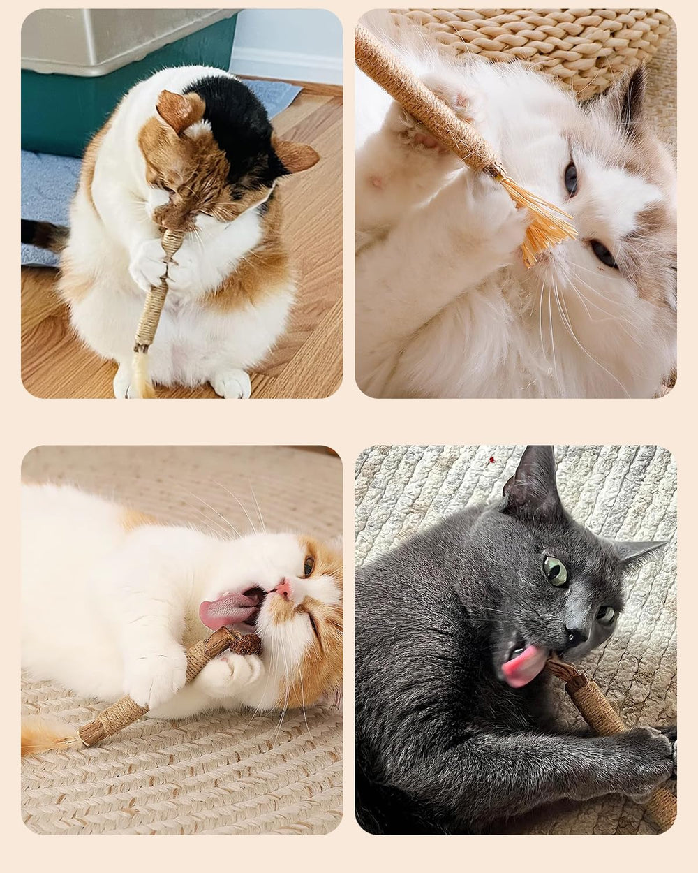 Tocirelo ofrece variedad con plumas, cascabeles y frutos deshidratados para satisfacer diferentes gustos felinos.