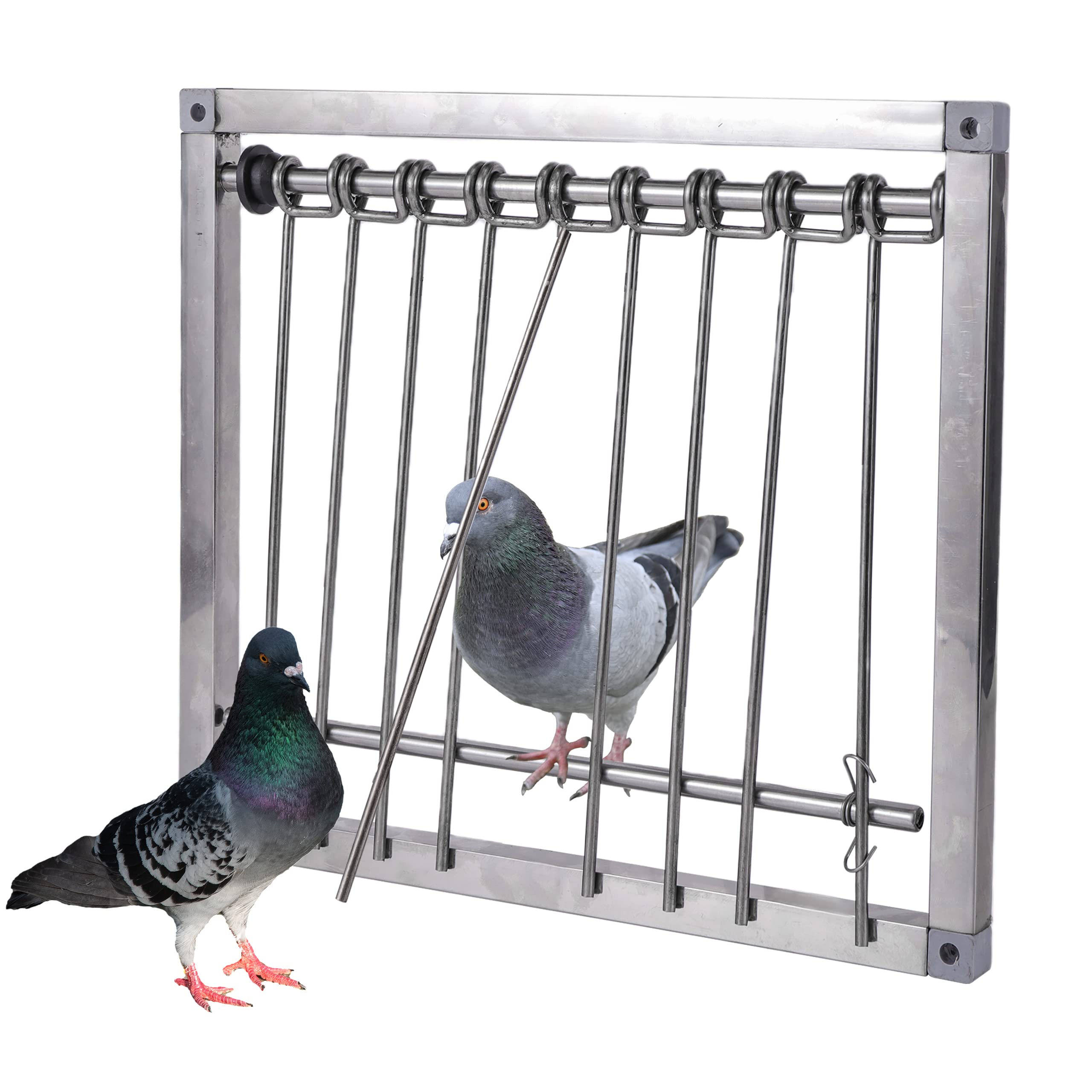 TOHONGADON trampa para pájaros, puerta una vía para evitar escapes y captura fácil