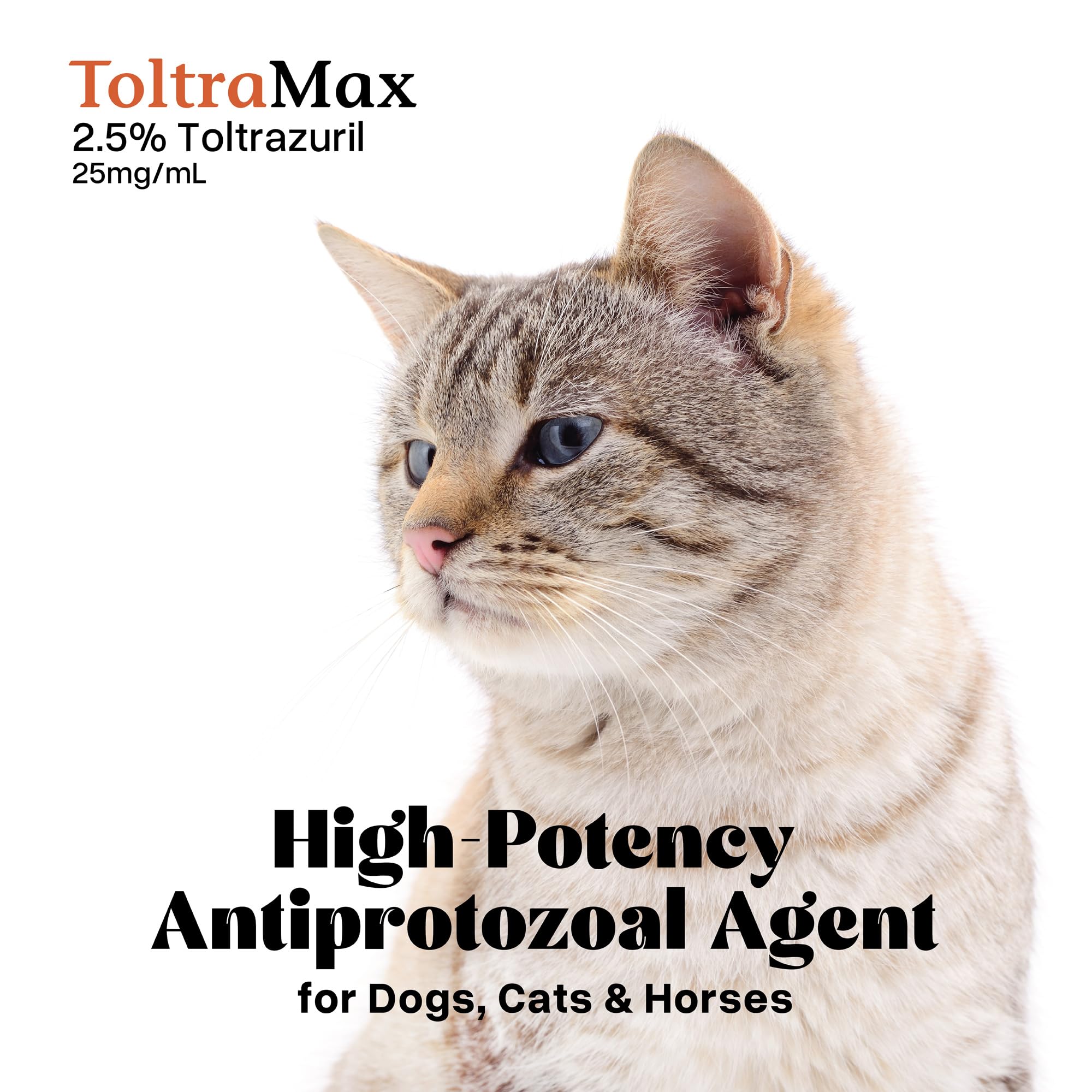 ToltraMax Toltrazuril 2.5% presentacion compacta para clínica.