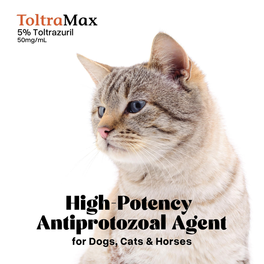 Envase de Toltrrazuril de 240 ml, solución estable para veterinarios