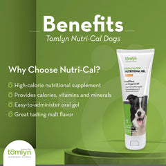 Tomlyn Nutri-Cal gel con textura pastosa, fácil de aplicar para apetito recuperado