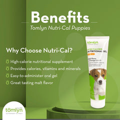 Tomlyn Nutri-Cal sabor malta para cachorros estimula la ingesta