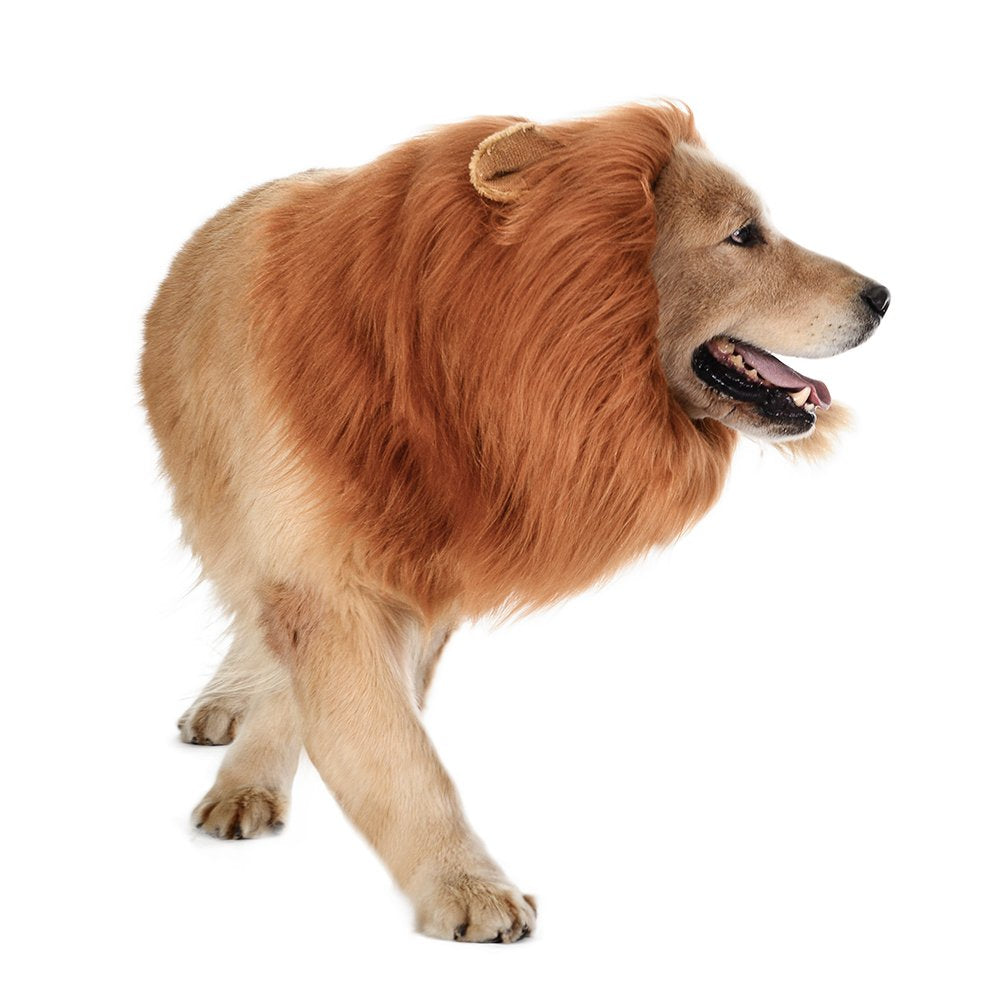 TOMSENN disfraz de león para perro, ideal para fiestas y desfiles.