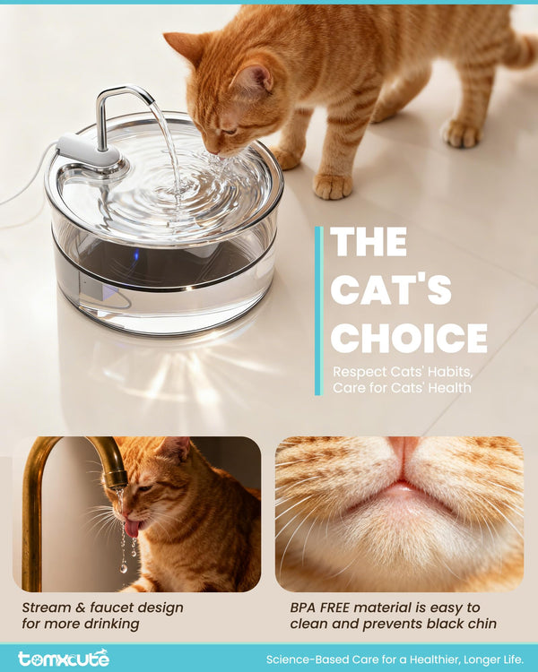 Tomxcute vidrio claro, detalle del flujo para monitorizar el nivel de agua.