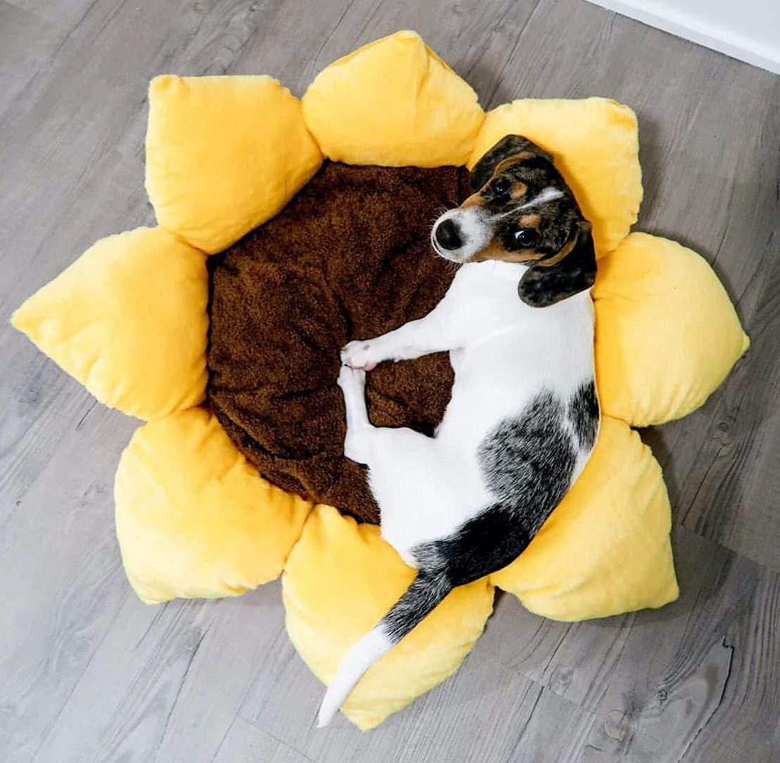 TONBO cama para perros y gatos, naturaleza en diseño.