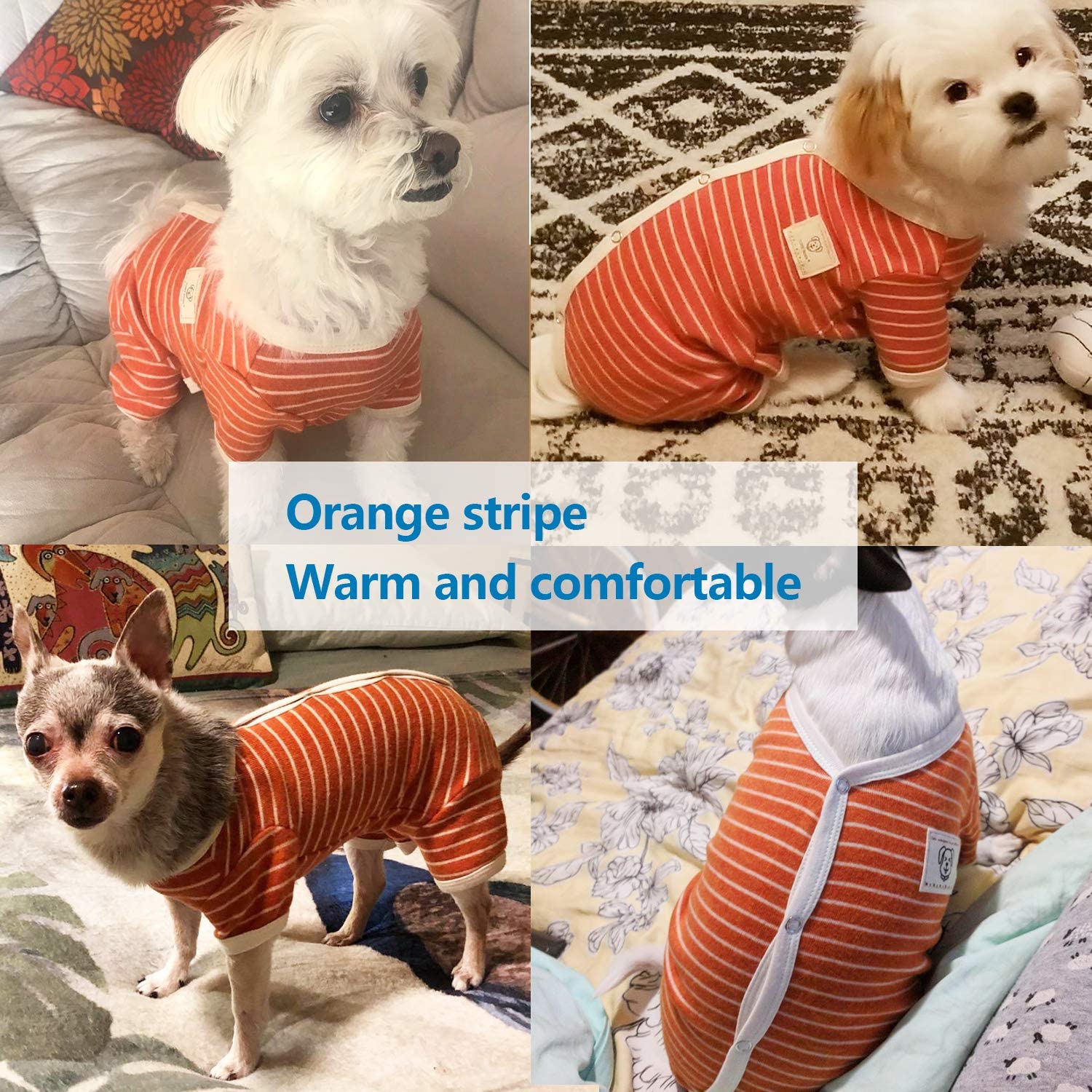 TONY HOBY pijama para perro protección abdomen, diseño cómodo