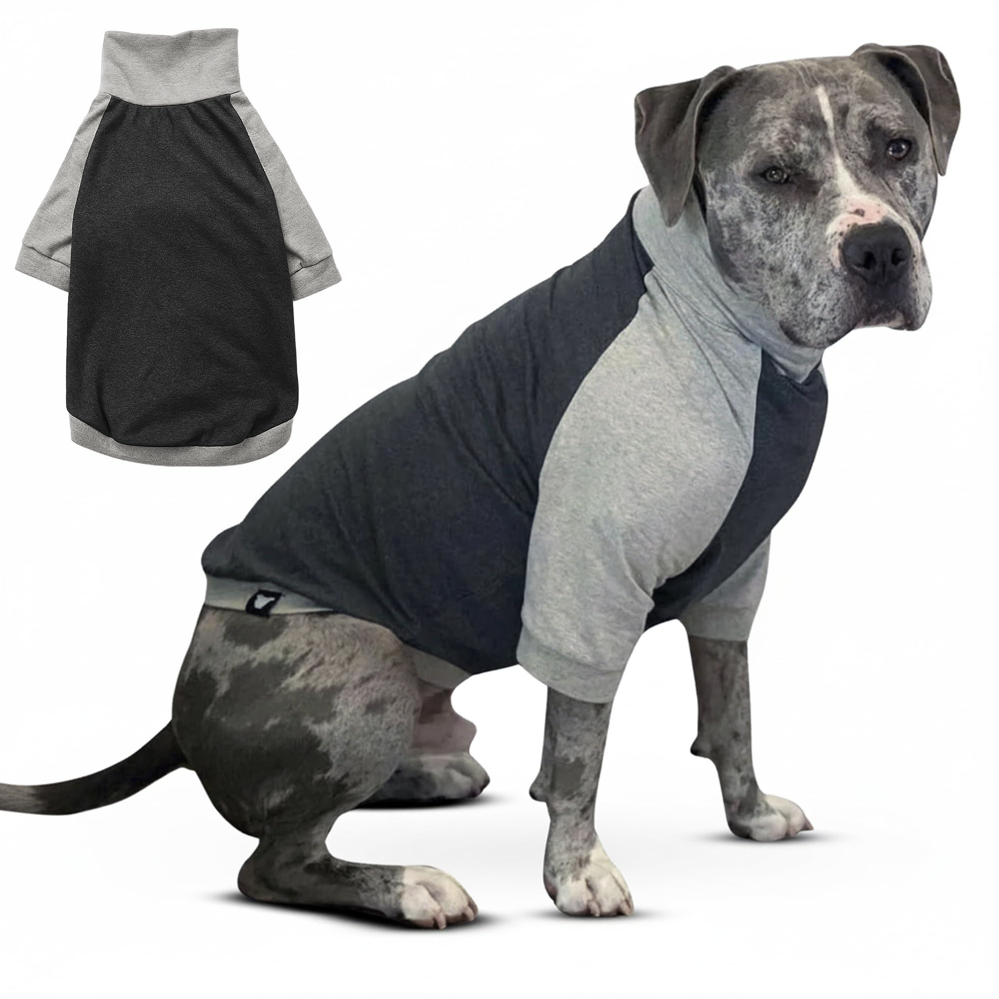 Tooth & Honey camiseta para perro grande en algodón-spandex, diseño cómodo para paseos diarios.