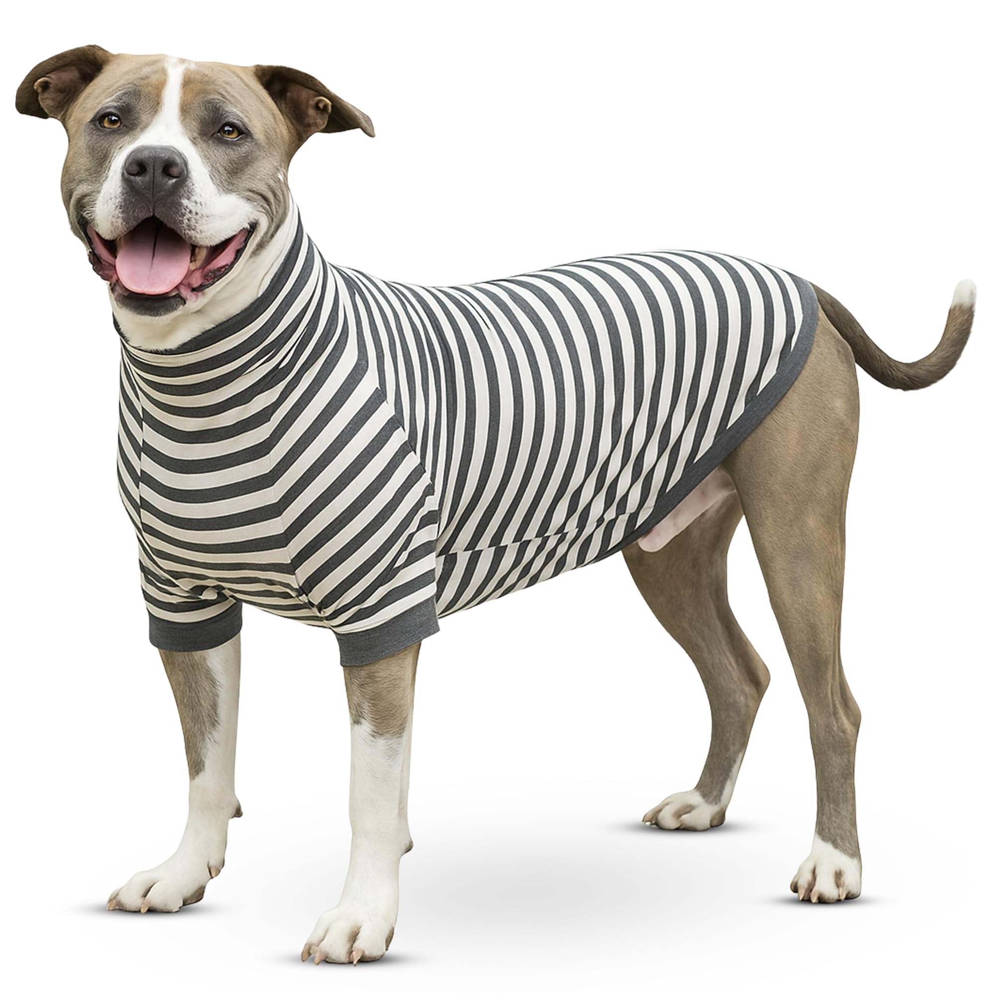 Tooth & Honey camiseta para perro grande con rayas blancas y grises, protección de barriga.