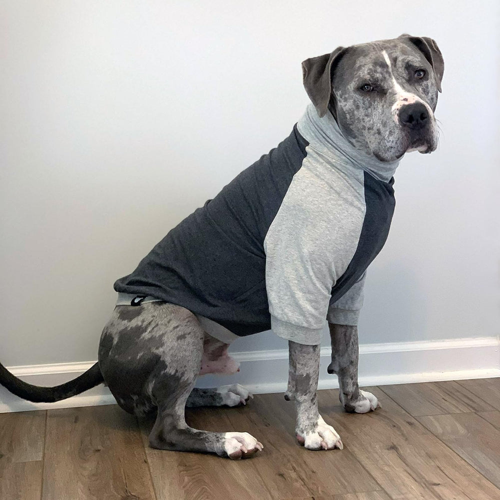 Tooth & Honey ropa de verano para perro grande, ligera y fresca para paseos largos.