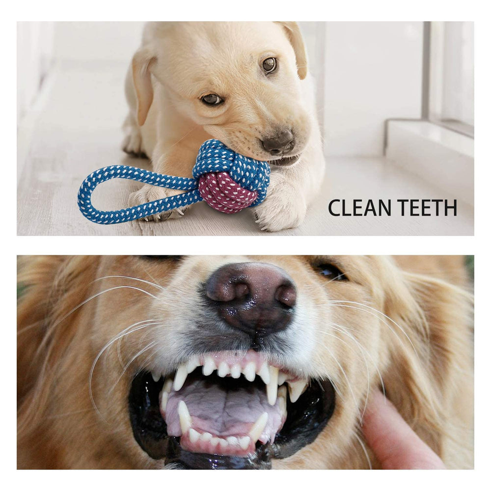 Toozey juguetes dentales suaves para higiene bucal.